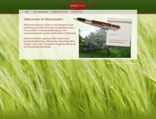 skanestaden.com screenshot