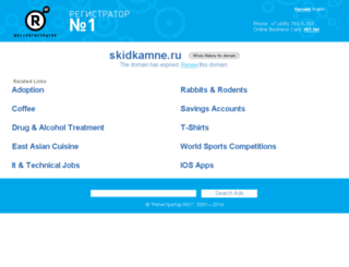 skidkamne.ru screenshot