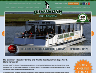 skimmer.com screenshot