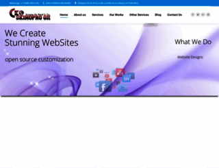 skinopro.com screenshot