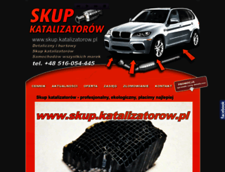 skup.katalizatorow.pl screenshot