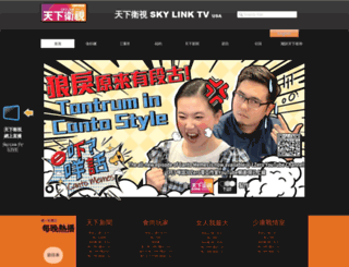 skylinktv.us screenshot