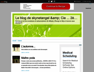 skynetangelandcie.over-blog.com screenshot