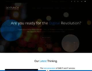 skypunch.com.au screenshot