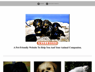 smalldogs2.com screenshot