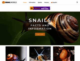 snail-world.com screenshot