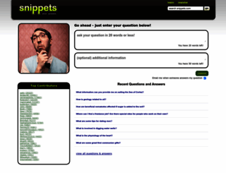 snippets.com screenshot