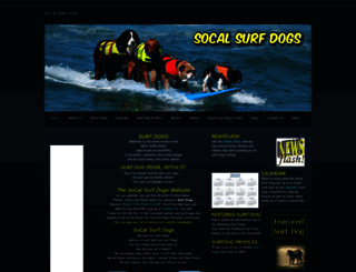 socalsurfdogs.com screenshot