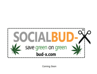 socialbud-x.com screenshot