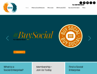 socialenterpriseni.org screenshot