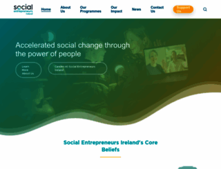 socialentrepreneurs.ie screenshot