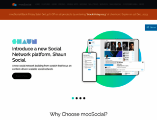 socialloft.com screenshot