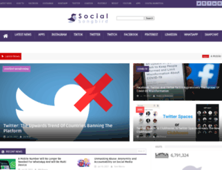 socialsongbird.com screenshot