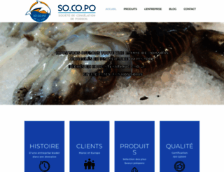 socopo-sarl.com screenshot