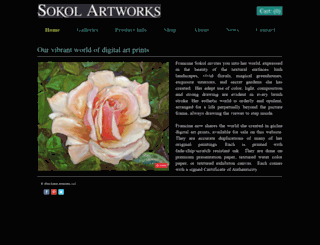 sokolartworks.com screenshot