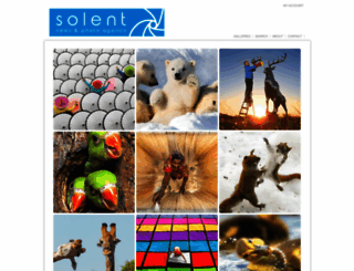 solent.photoshelter.com screenshot