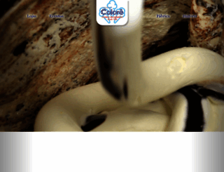 sorvetescolore.com.br screenshot