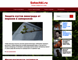 sotochki.ru screenshot