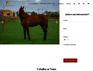 spanish-horses-sales.com screenshot