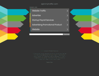 spinmytraffic.com screenshot