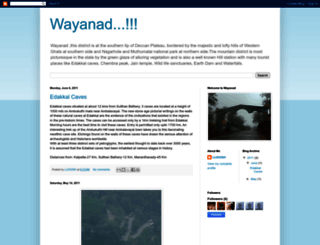 spotsinwayanad.blogspot.com screenshot