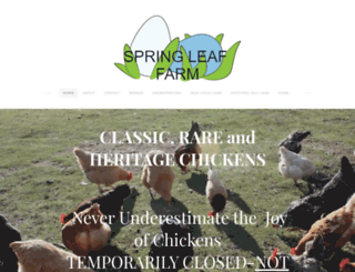 springleaffarm.com screenshot