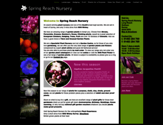 springreachnursery.co.uk screenshot