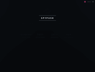 spypush.com screenshot