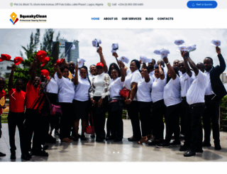 squeakycleannigeria.com screenshot