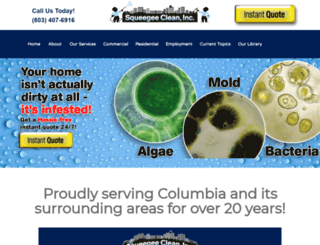squeegeecleansc.com screenshot