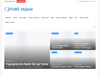 stabilyasam.com screenshot