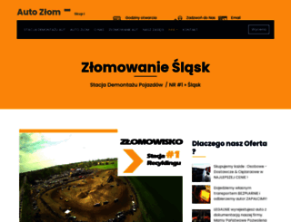stacjademontazuaut.pl screenshot