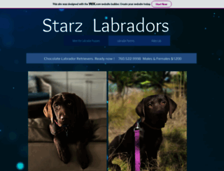starzlabradors.com screenshot