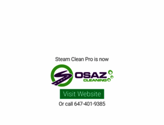 steamcleanpro.com screenshot