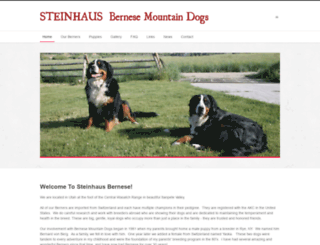 steinhausbernese.com screenshot