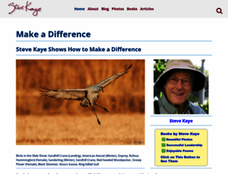stevekaye.com screenshot