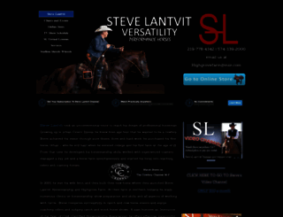 stevelantvit.net screenshot