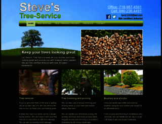 stevestreeservicesi.com screenshot
