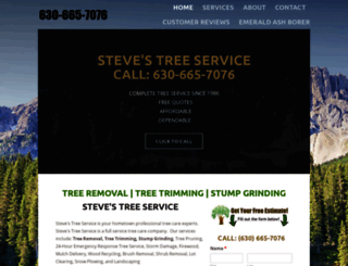 stevestreeservicewheaton.com screenshot