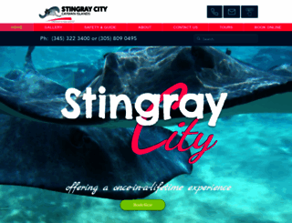 stingraycitycaymanislands.com screenshot