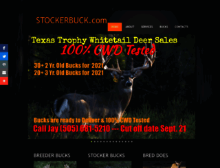 stockerbuck.com screenshot