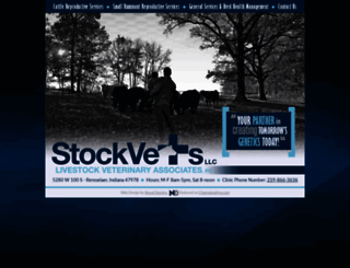 stockvets.com screenshot