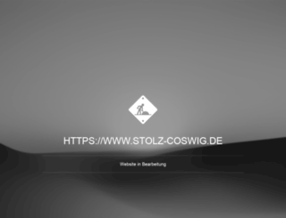 stolz-coswig.de screenshot