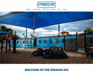 straussece.com screenshot