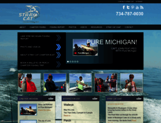 straycatsportfishingcharters.com screenshot