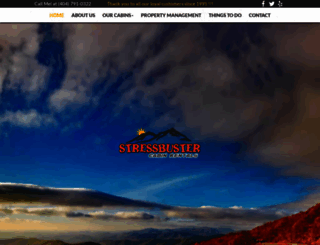 stressbustercabinrentals.com screenshot