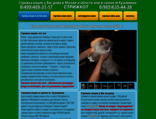 strizhkot.ru screenshot