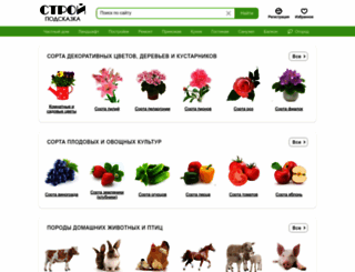 stroy-podskazka.ru screenshot