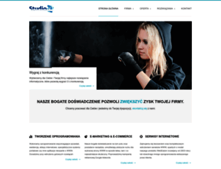 studiont.pl screenshot