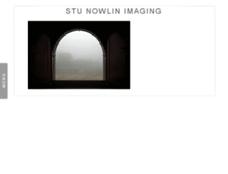 stunowlinimaging.com screenshot